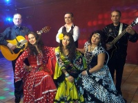 08 апреля - Всемирный день цыган